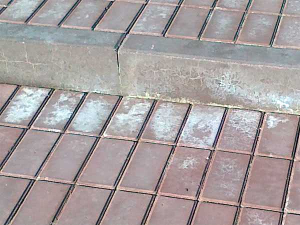 Чем и как можно отмыть тротуарную плитку от цемента?