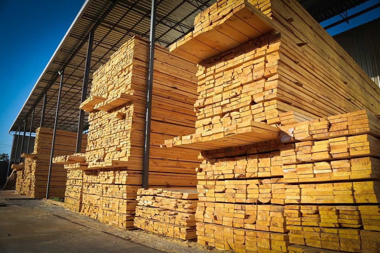 Лиственные породы древесины: какую выбрать для строительства