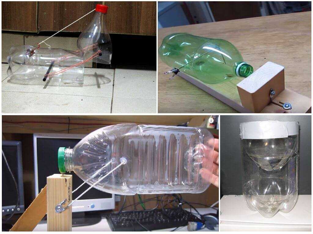 Ловушка для мышей из пластиковой бутылки и банки: как сделать своими руками