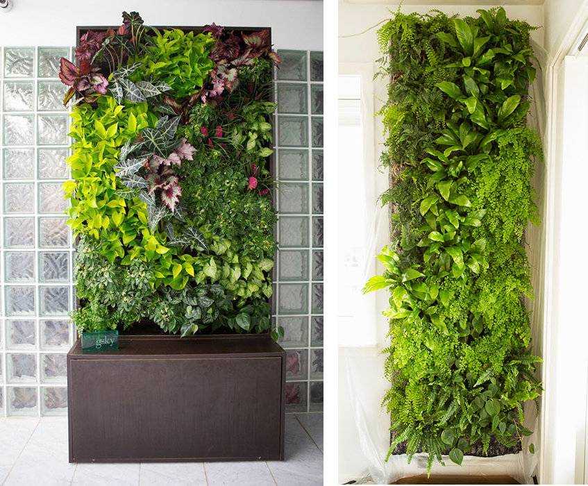 Вертикальное озеленение в ландшафтном дизайне – выбираем опоры для вьющихся растений