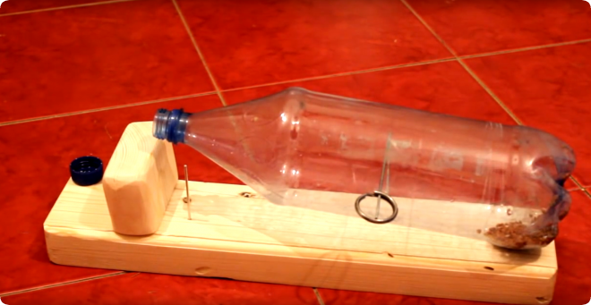 Мышеловка из пластиковой бутылки своими руками
