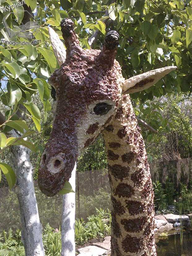 Как сделать жирафа из пластиковых бутылок подробно. «очень длинношеее животное» в саду: делаем своими руками из пластиковых бутылок жирафа