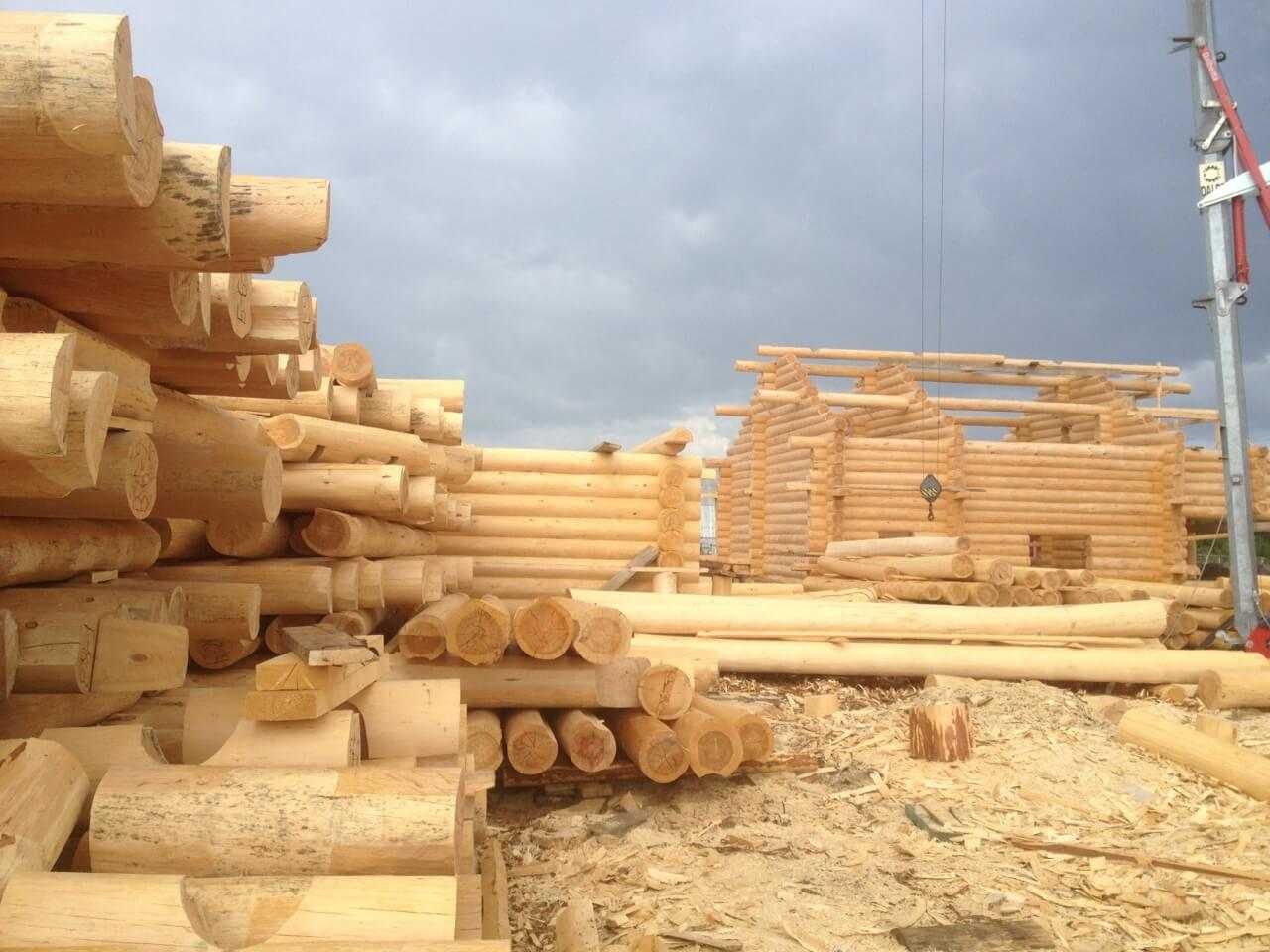 Выбор древесины для строительства дома: виды и на что обращать внимание
