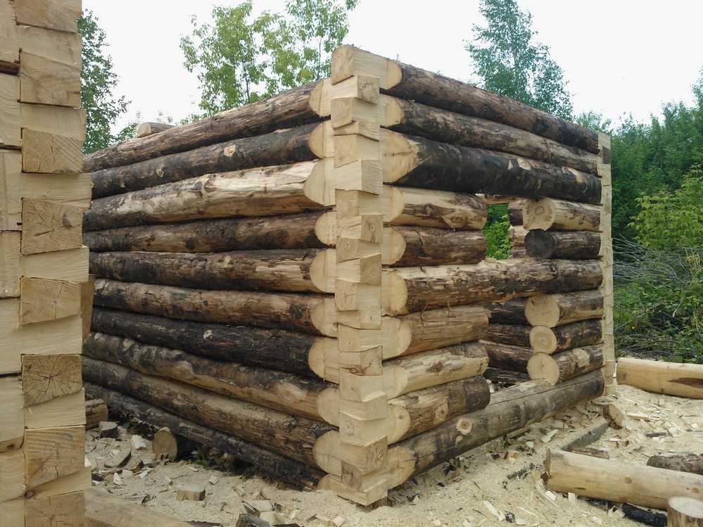 Как выбрать сруб и определить качество бревен для деревянного дома?