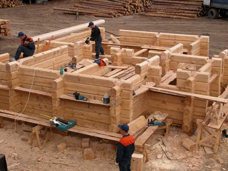 Строительство домов из хвойных пород деревьев. плюсы и минусы разных типов древесины. на сайте недвио
