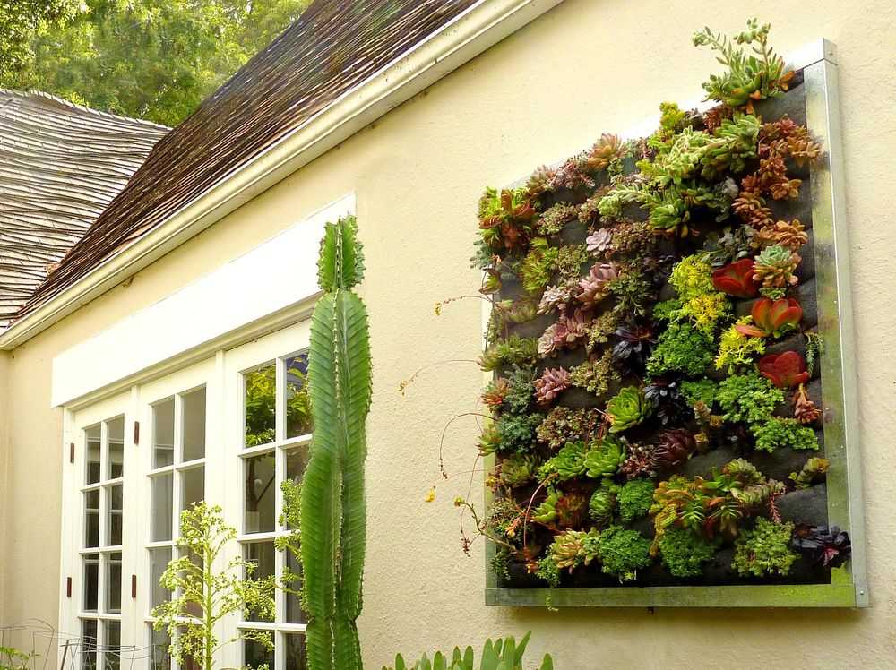 Вертикальное озеленение: топ-150 фото лучших решений. пошаговая инструкция от садовника