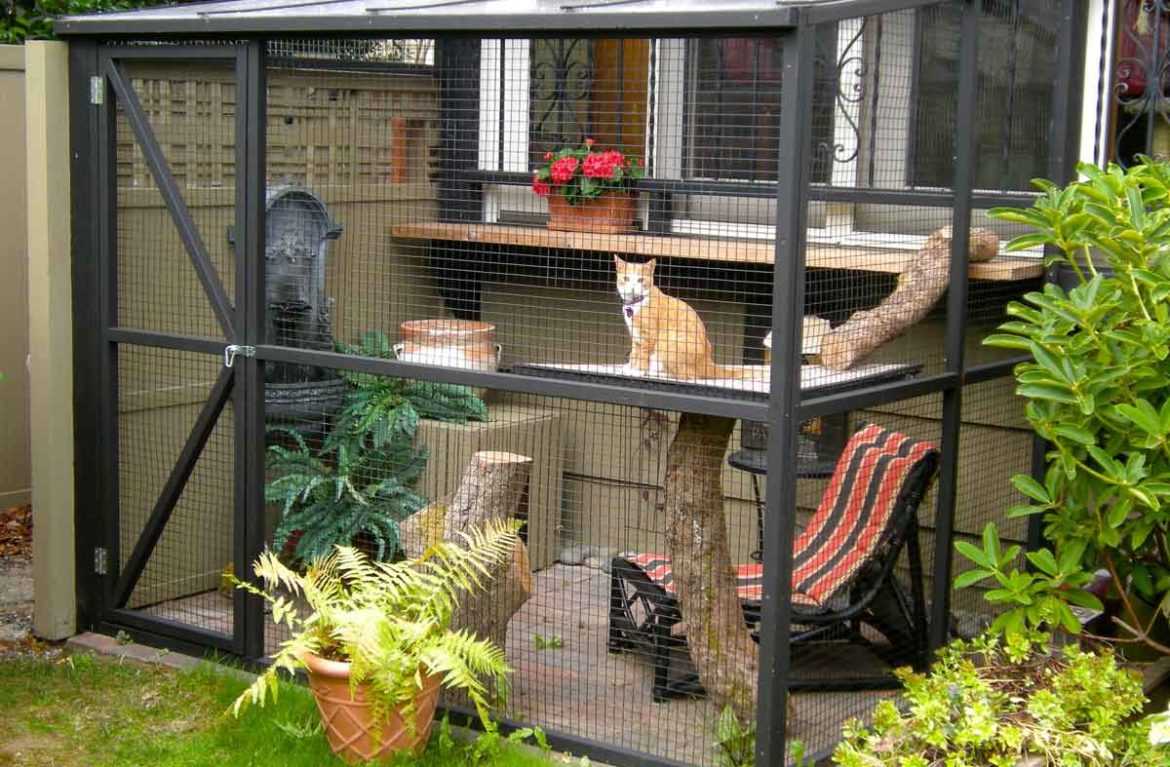 Дачные вольеры для кошек: фото, какой вольер лучше для кота на даче