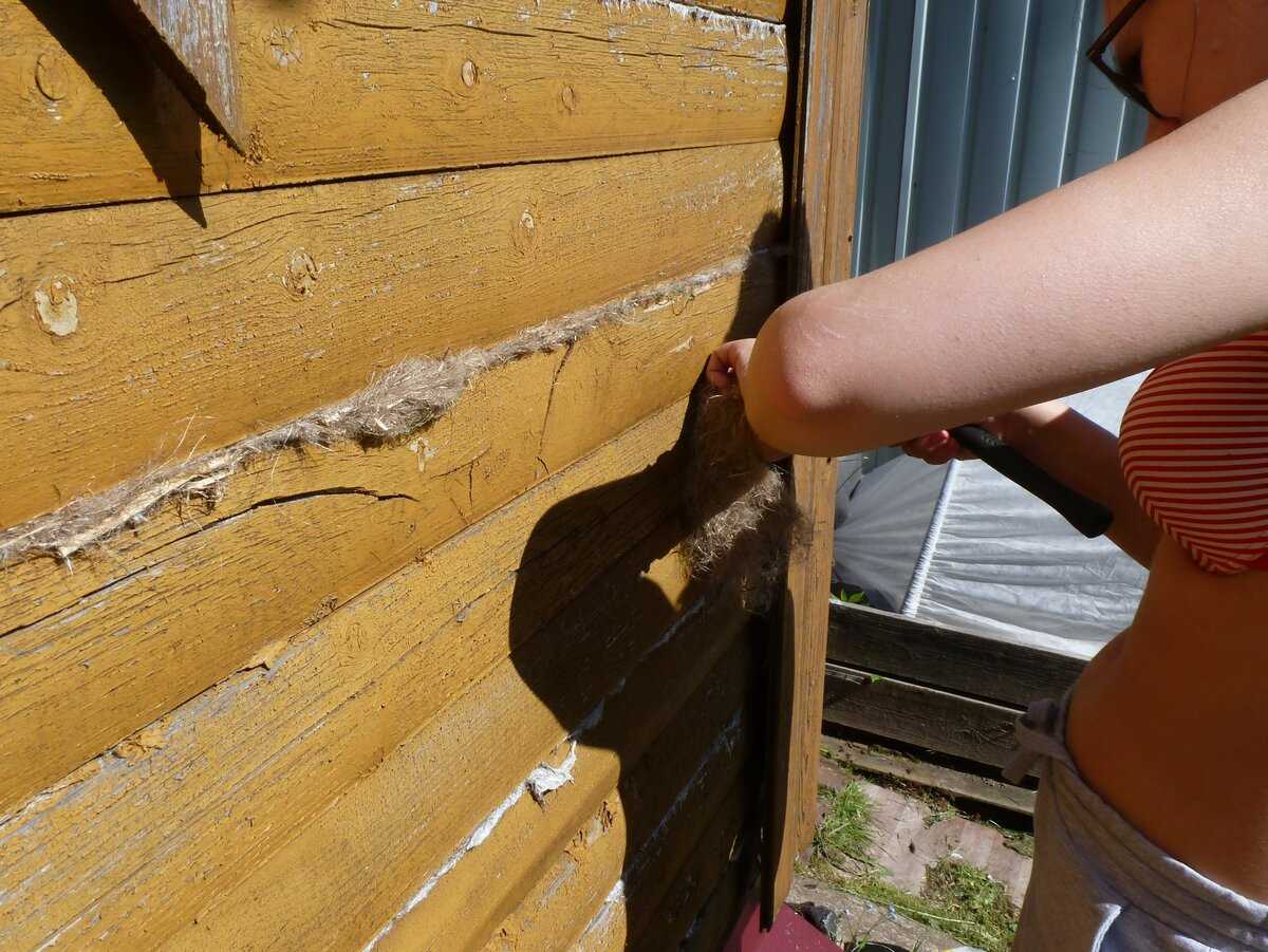 Чем заделать трещины в брусе снаружи дома: обзор материалов для щелей, почему необходим ремонт, как правильно устранять дефекты, примерные расходы