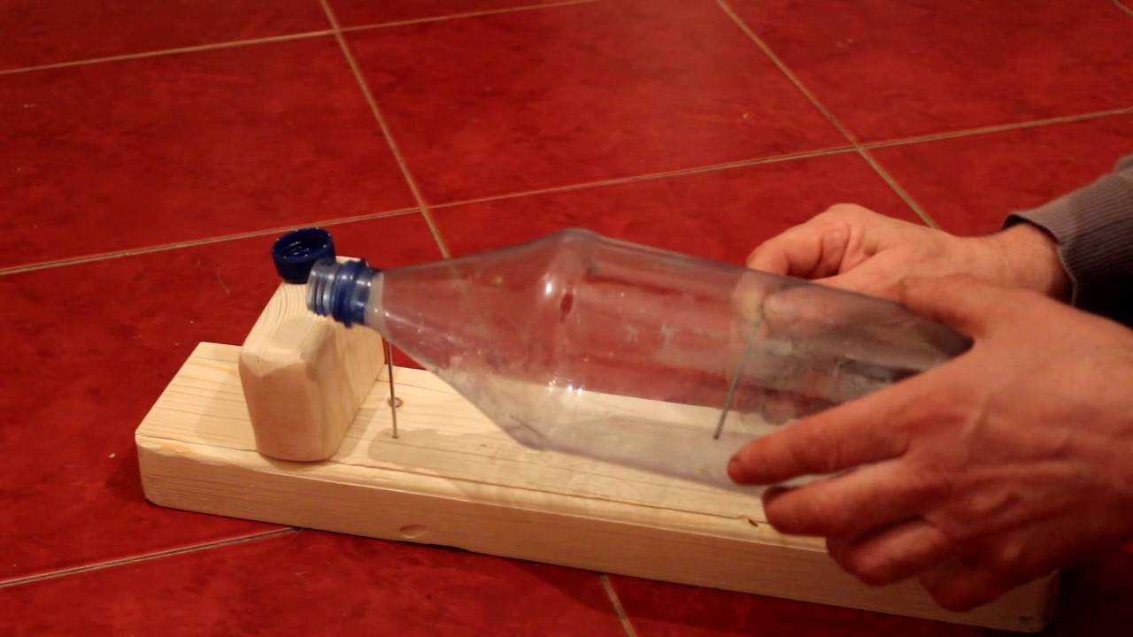 Мышеловка из пластиковой бутылки своими руками: как сделать и поставить ловушку в домашних условиях