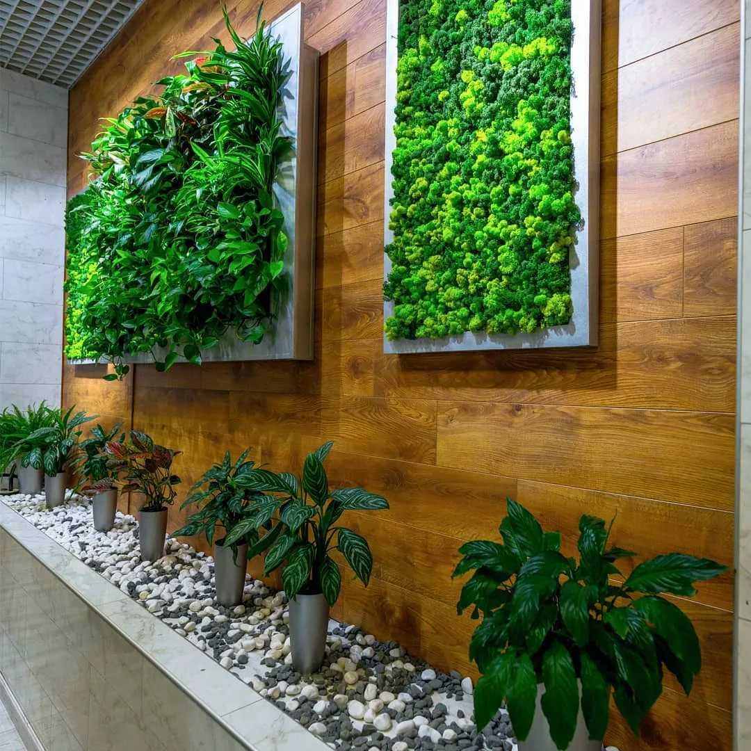 Как сделать вертикальное озеленение в квартире своими руками — растения, оборудование и установка